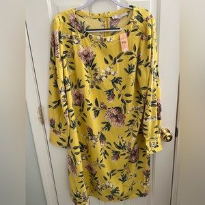 NWT - Loft - Plus Size Dress